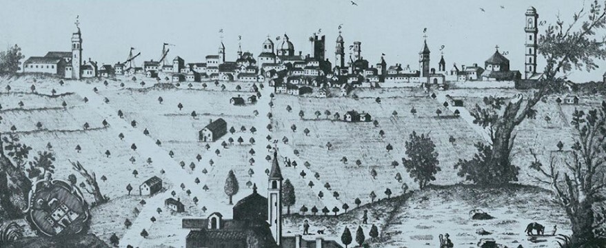 rovigo rovigo