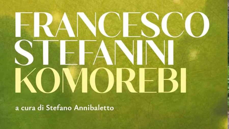 mostra-francesco-stefanini-MAC-1