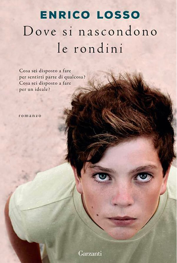dove-si-nasconono-le-rondini dove-si-nasconono-le-rondini