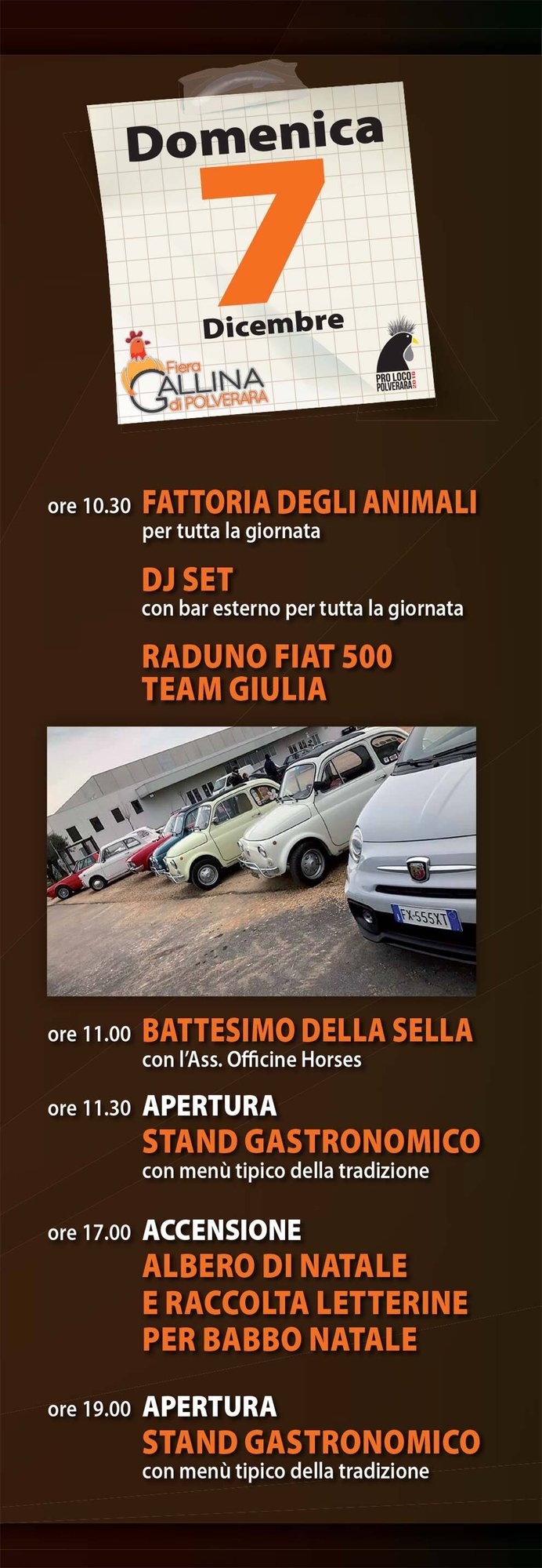 07-gallina-di-polverara-2025