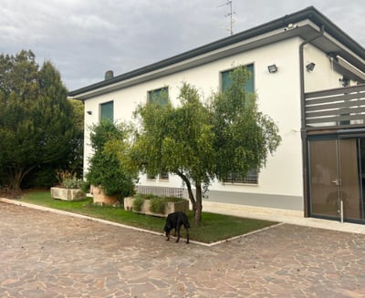 Tenuta Bellotti Tenuta Bellotti