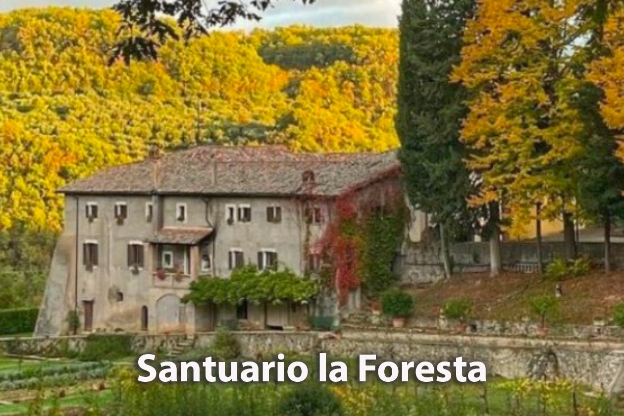 SANTUARIO-LA-foresta-1