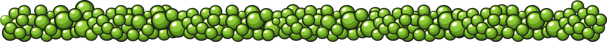 bisi