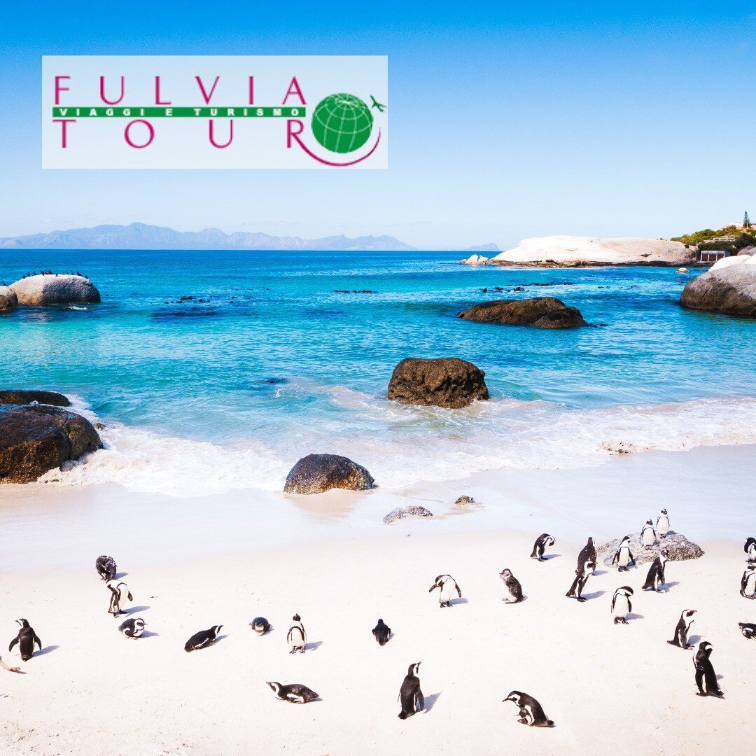 TOUR SUD AFRICA - SPIAGGIA BOULDERS COLONIA DI PINGUINI JACKASS- FULVIA TOUR