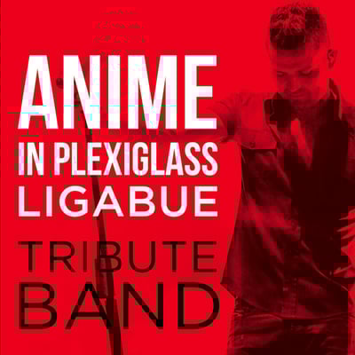ANIME-IN-PLEXIGLASS