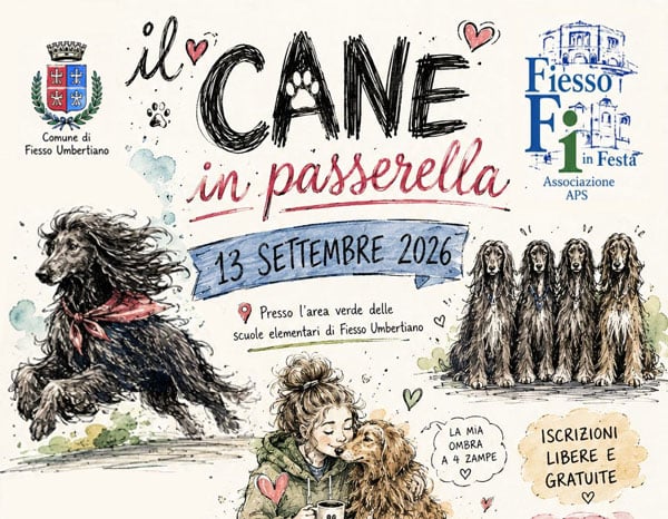 il-cane-in-passerella