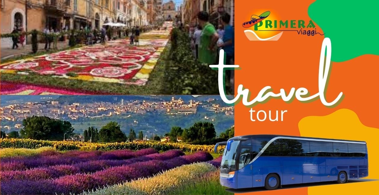 spello infiorata e lavandeto di assisi 