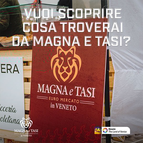 1-magna-e-tasi