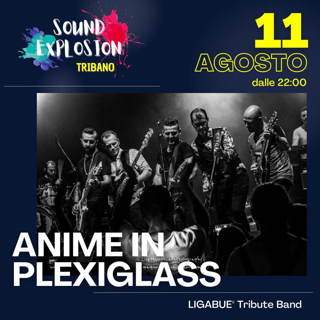 ANIME-IN-PLEXIGLASS