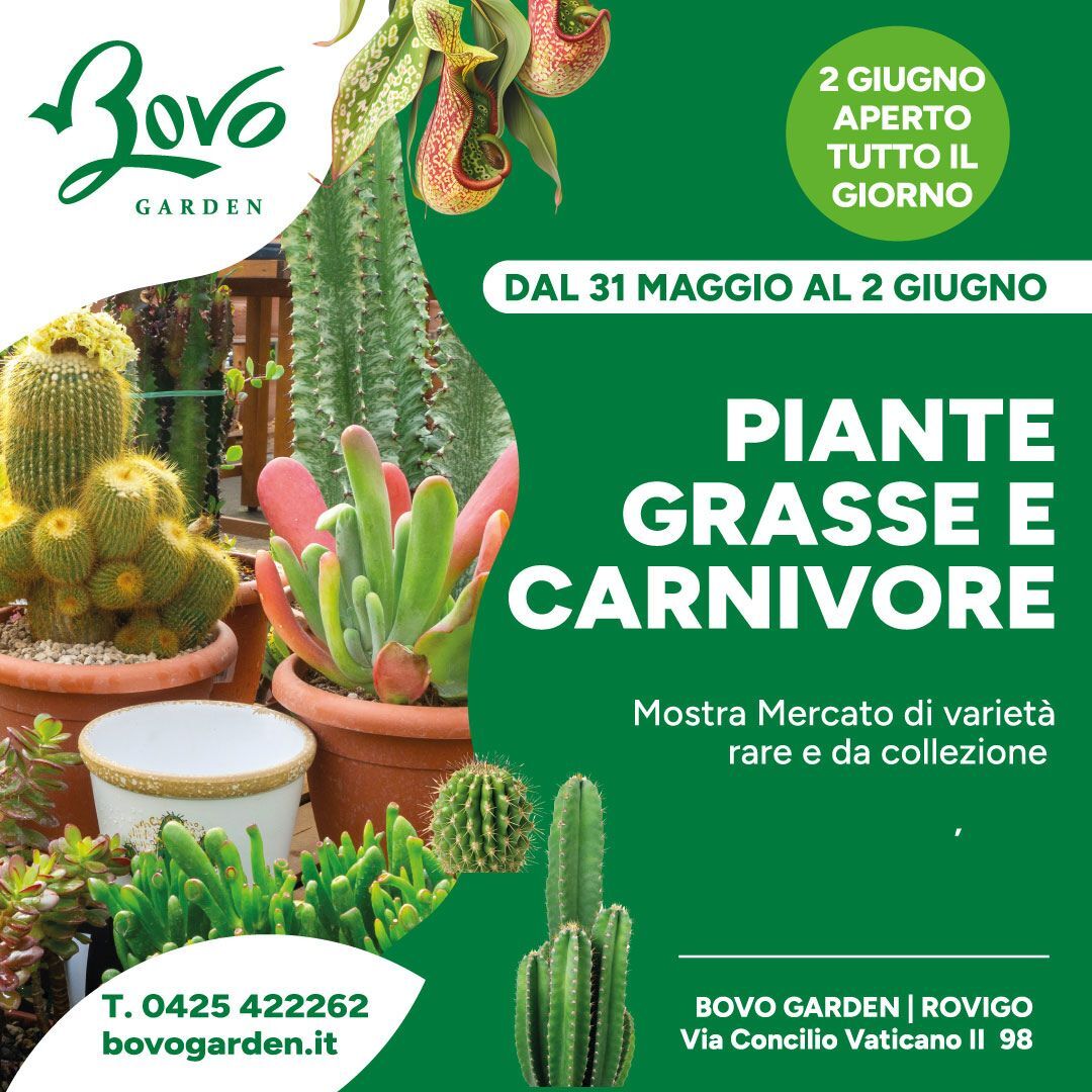 BOVO GARDEN PIANTE GRASSE 2025 BOVO GARDEN PIANTE GRASSE 2025