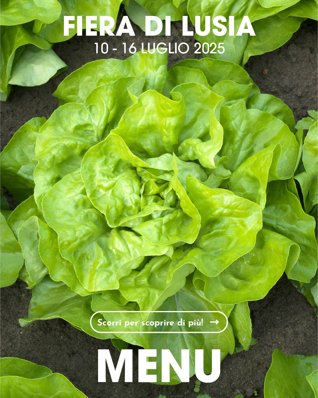 Menu  FIERA di LUSIA