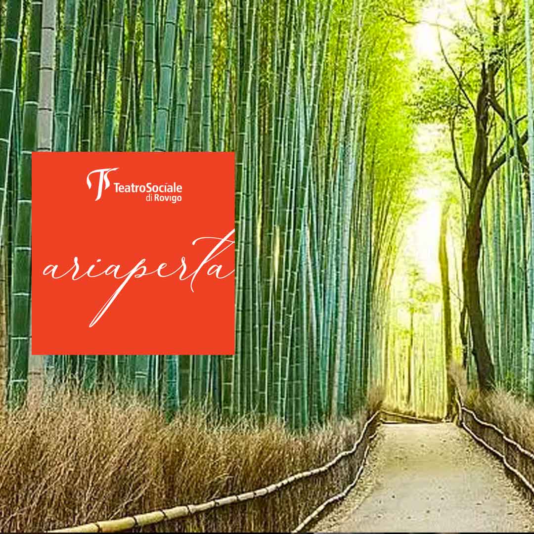 Foresta-di-Bambu-Q Foresta-di-Bambu-Q