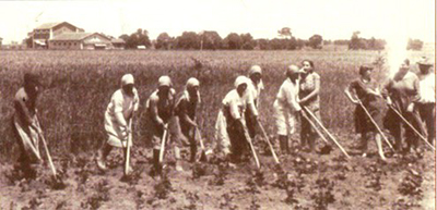 La-Boje_Fratta-Pol-3 La-Boje_Fratta-Pol-3