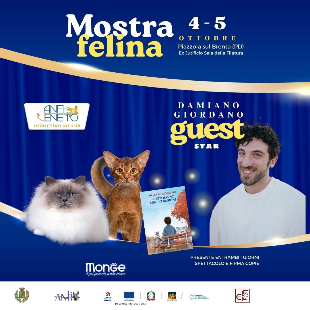 MOSTRA FELINA PIAZZOLA SUL BRENTA