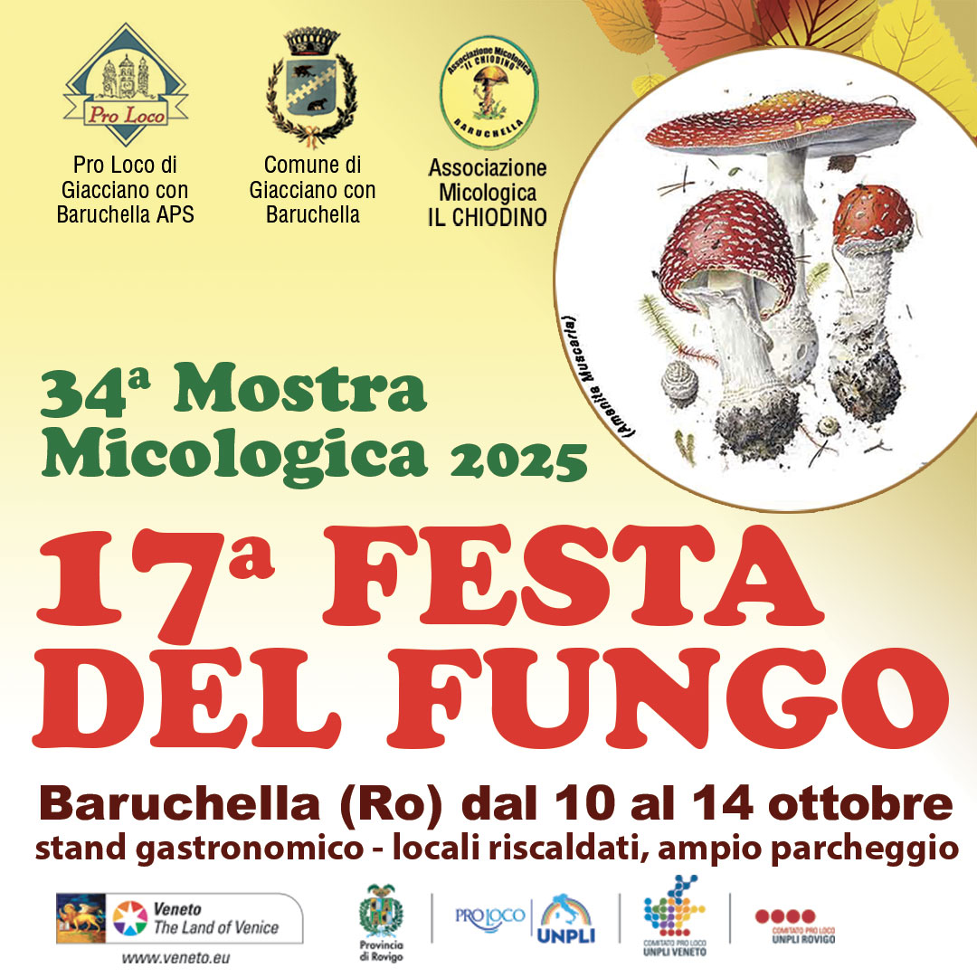 festa del fungo 2025 proloco giacciano festa del fungo 2025 proloco giacciano