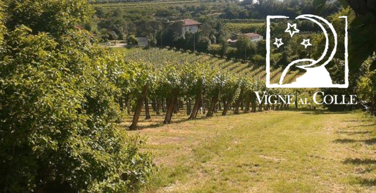 vigne al colle