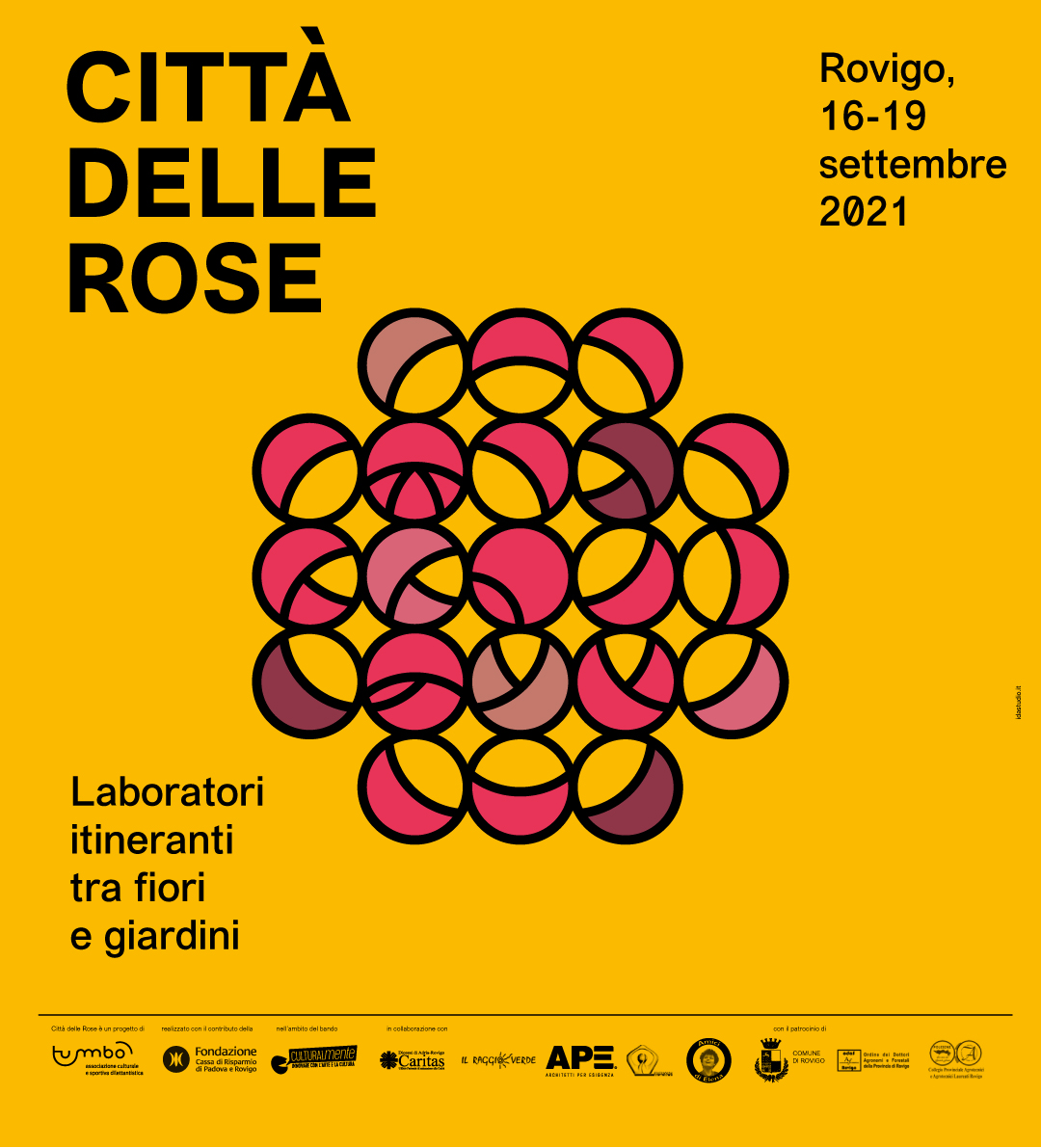 TUMBO-21_CITTADELLEROSE_Q TUMBO-21_CITTADELLEROSE_Q