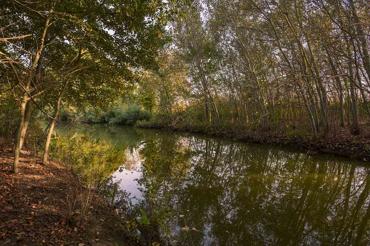 Effetto circolare Area umida di Monselice (PD) fotografia di  Germano Gallo, Fotoclub Ruzante