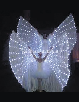Farfalle Luminose Show-Ariano