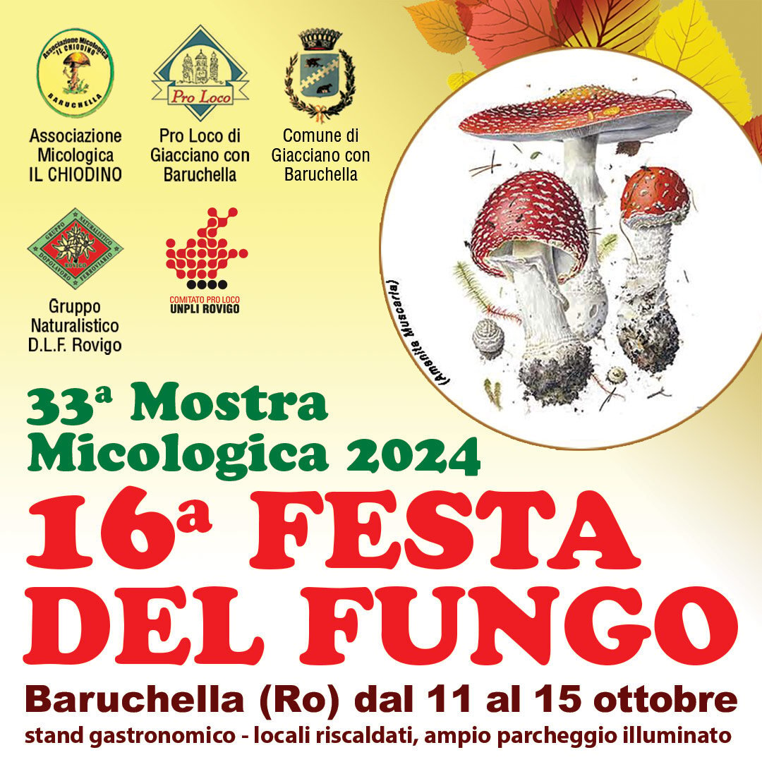 festa del fungo 2024-pro loco giacciano