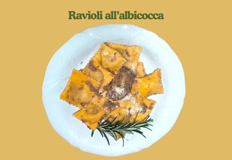 ravioli allalbicocca ravioli allalbicocca