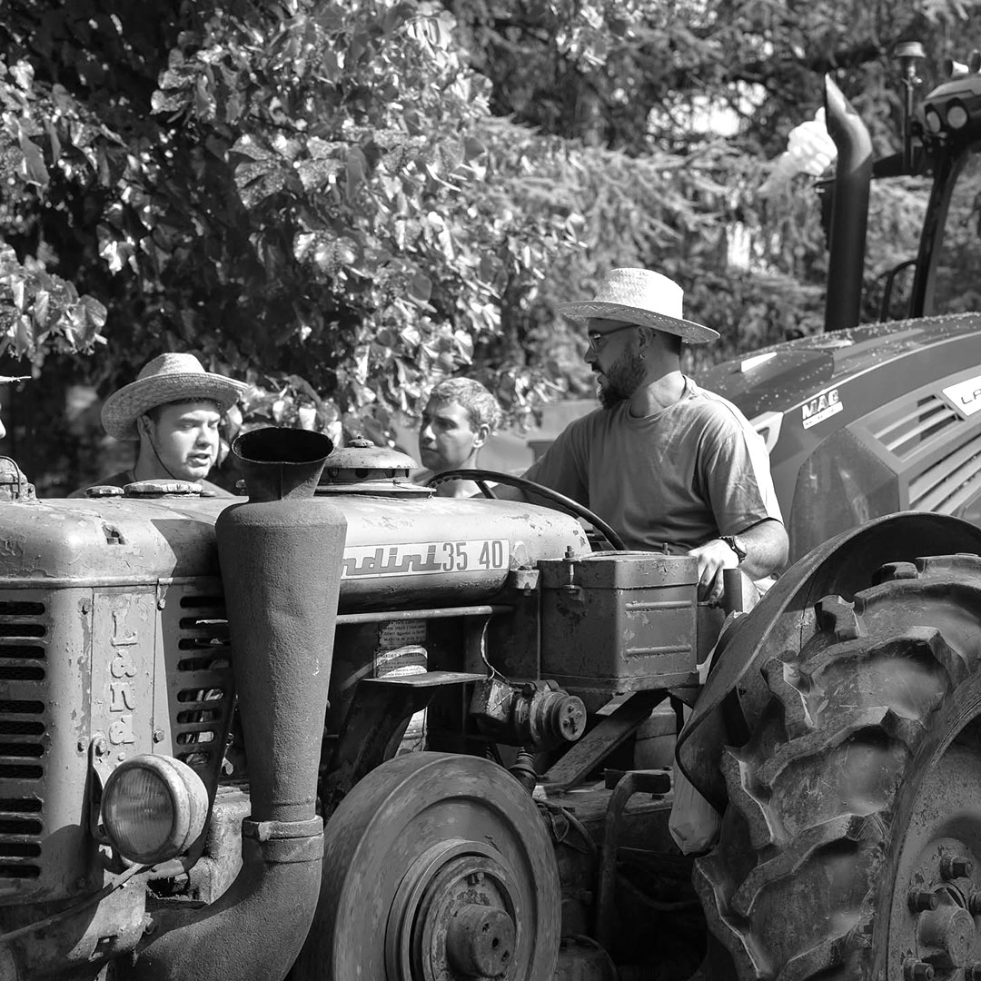 foto festa frumento altri tempi1080 foto festa frumento altri tempi1080