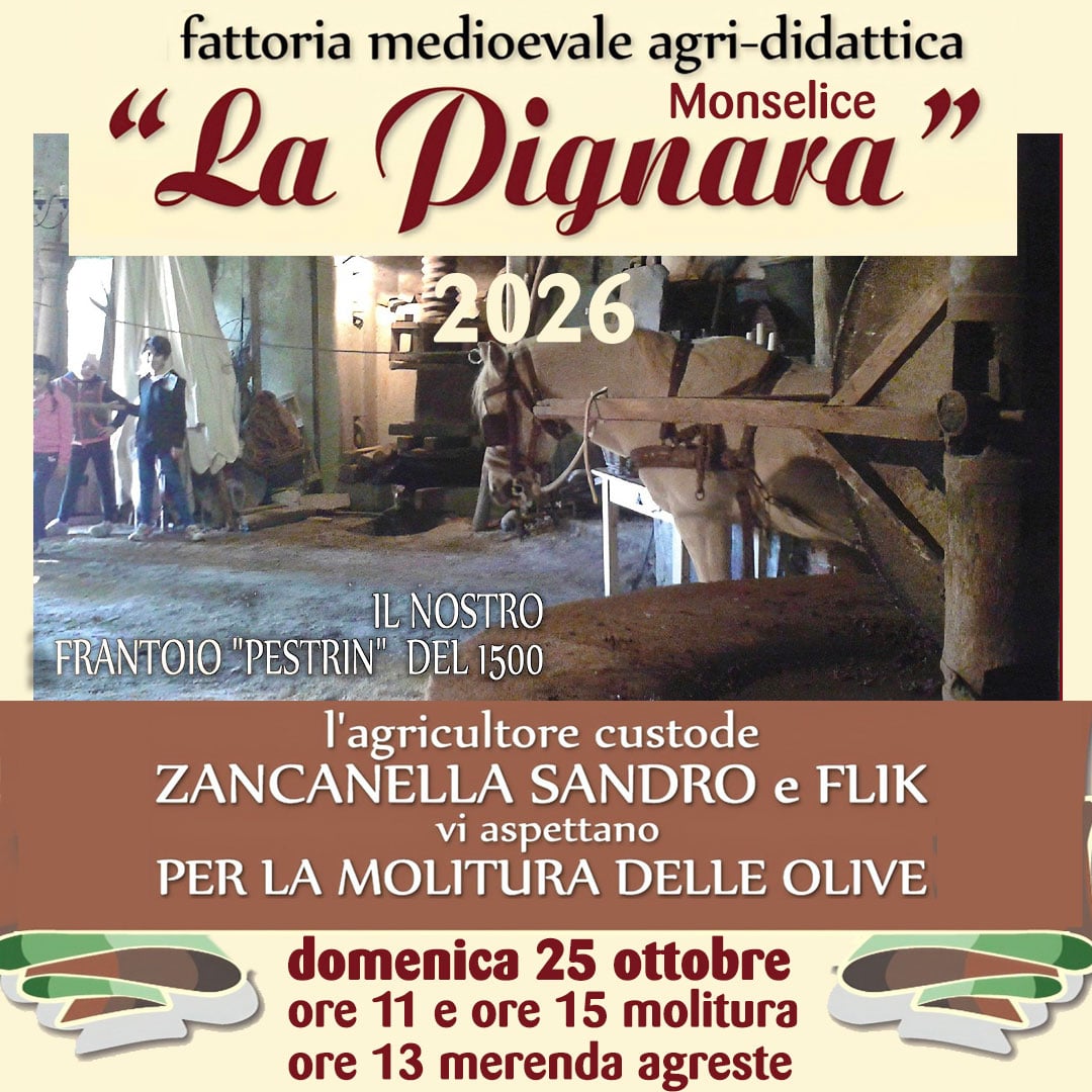 la-pignara-molitura-2026 Q la-pignara-molitura-2026 Q