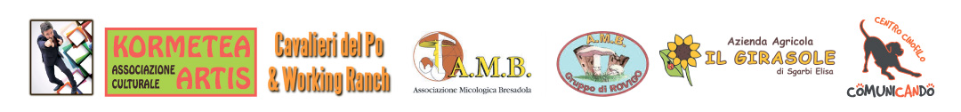 loghi-castagnata loghi-castagnata