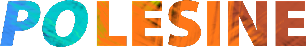 logo polesine logo polesine