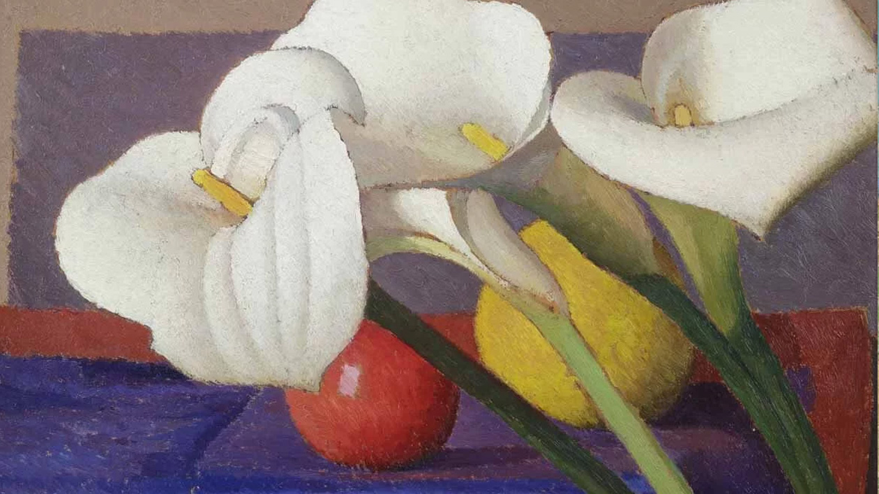 Raccogliere ballezza Padova