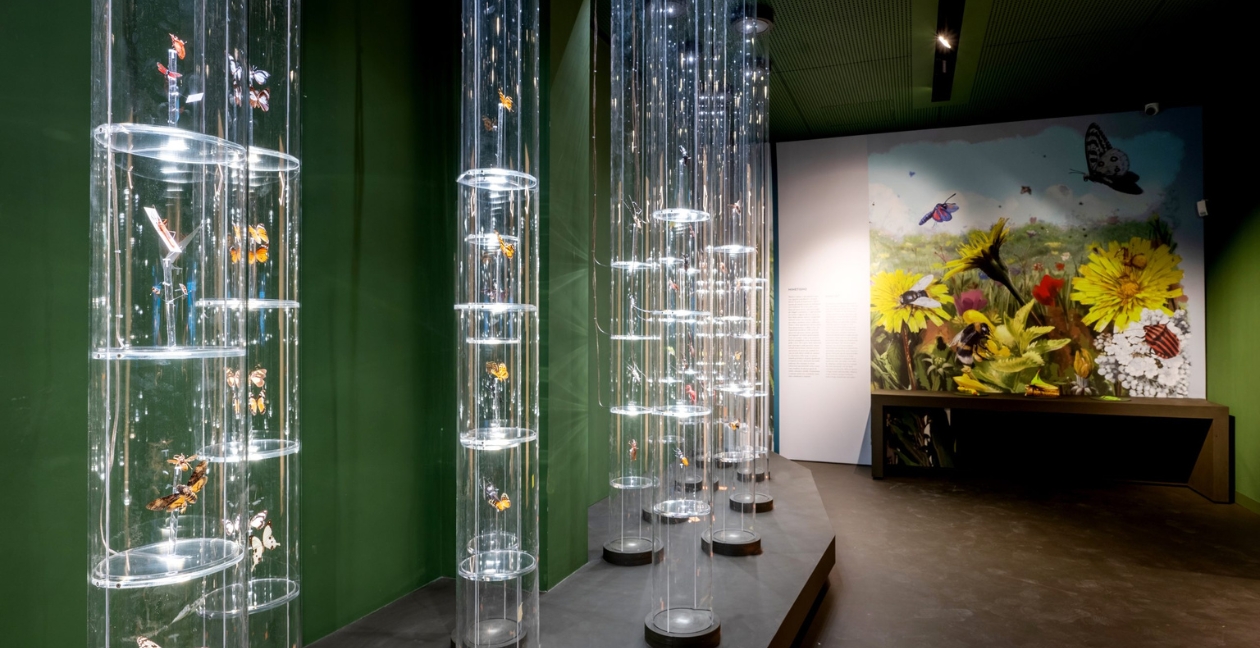 percorsi museo della natura e delluomo padova