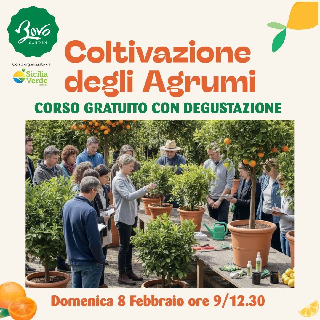 q bovo agrumi 2026 q bovo agrumi 2026