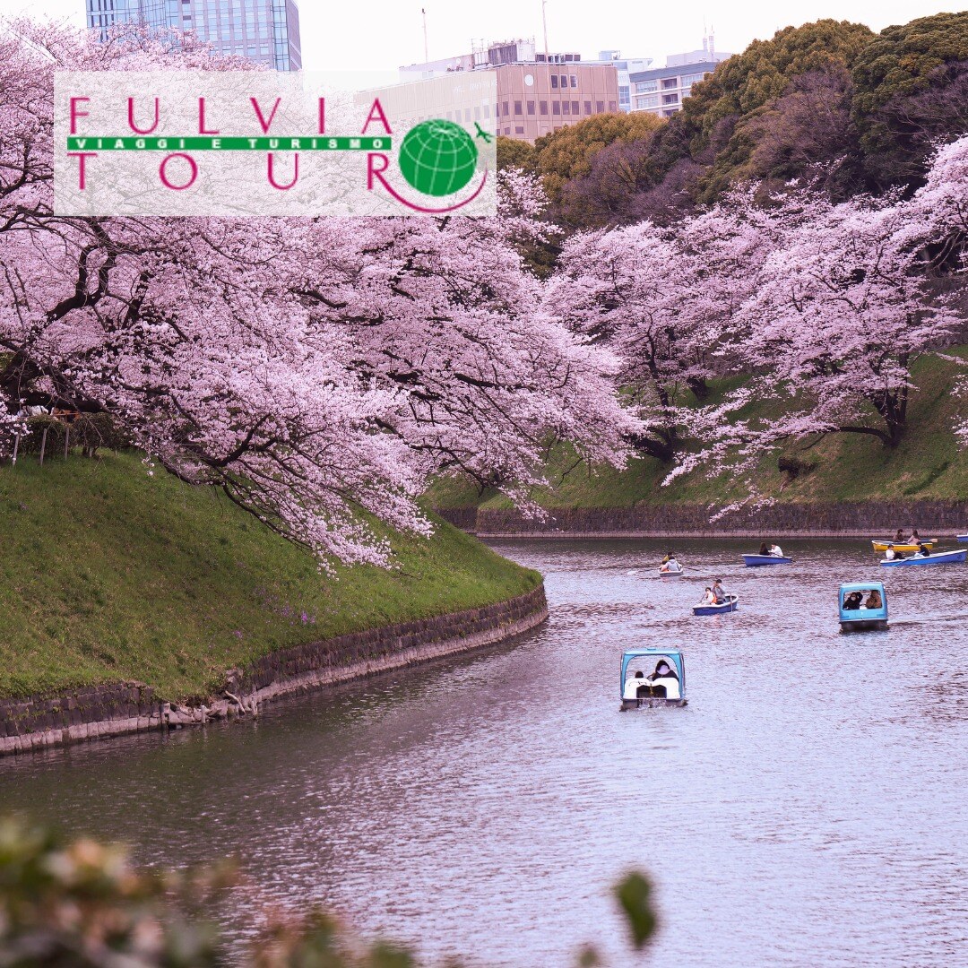 tour del GIAPPONE 2025 TOKIO - FULVIA TOUR tour del GIAPPONE 2025 TOKIO - FULVIA TOUR